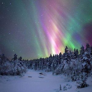 Meet your Posher, Sami